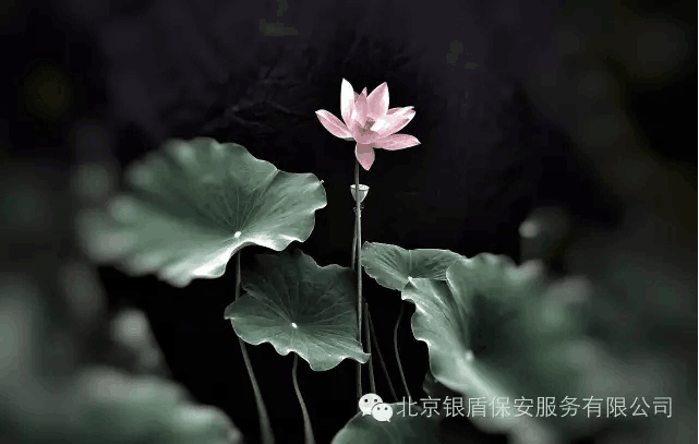 QQ圖片20161027090036.png