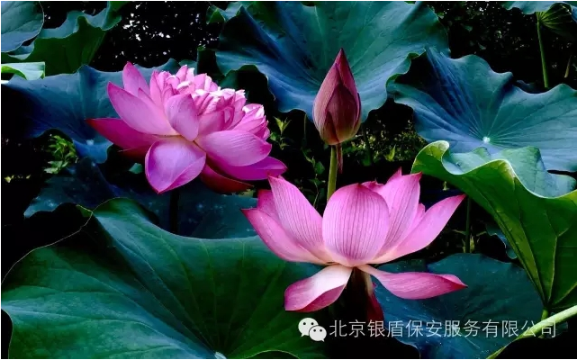 QQ圖片20161027093342.png